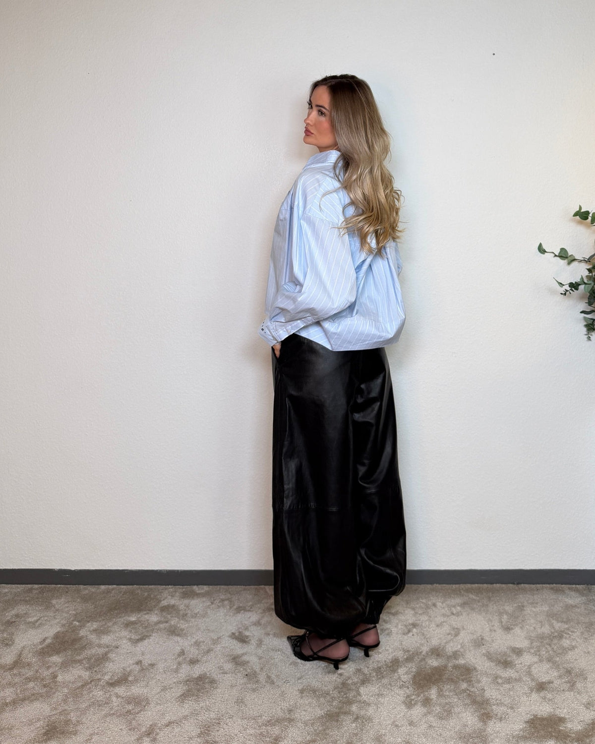 Haute L'amitie Sophie Stripe Shirt