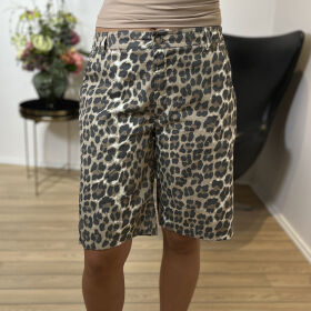 Black Colour Box Canvas Shorts